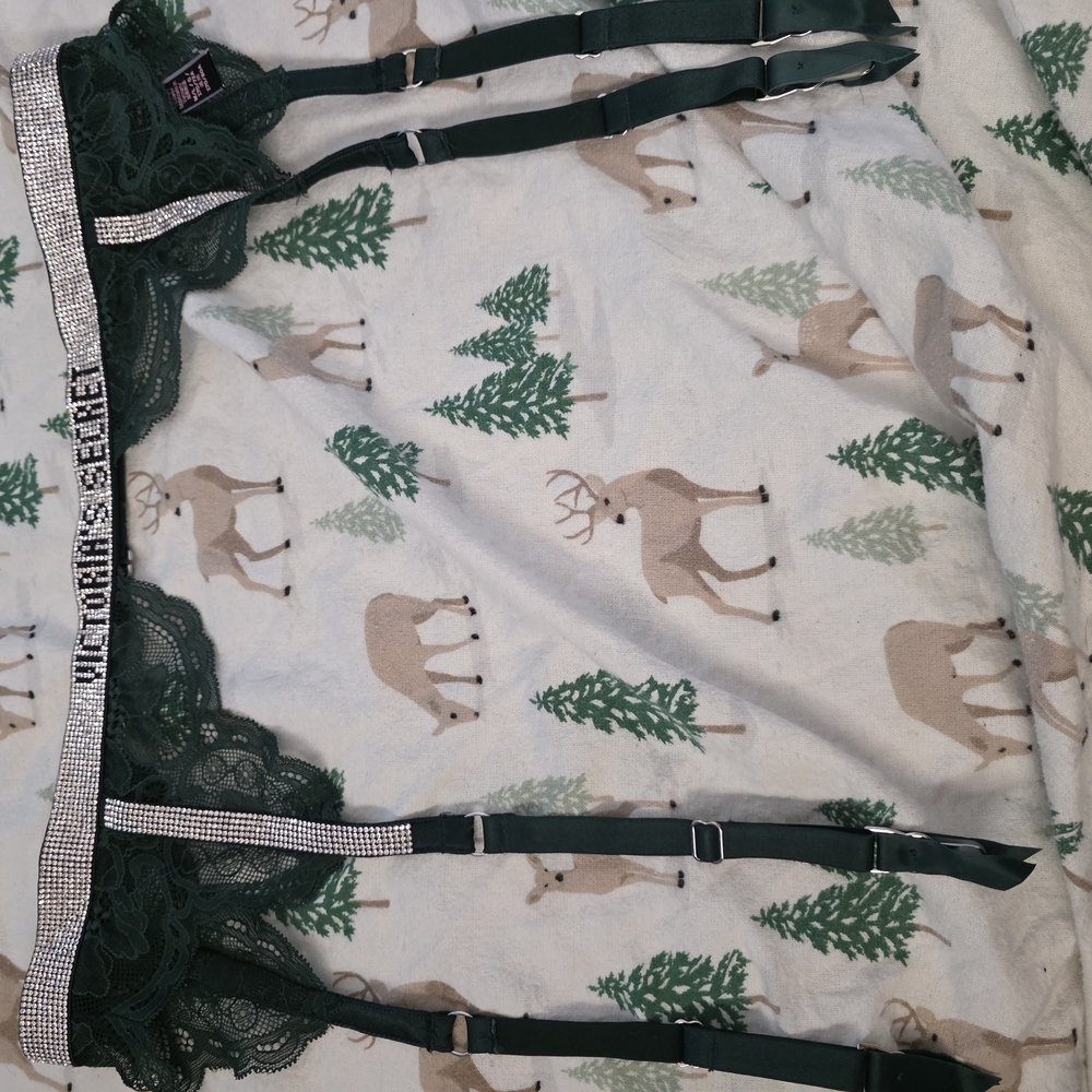 Victoria's Secret Green Lace Garter Belt
